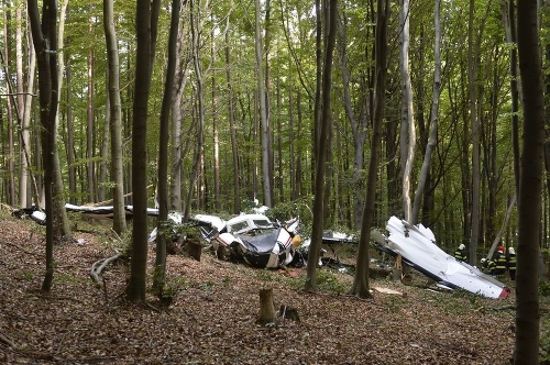 Pri zrážke lietadiel zahynulo sedem ľudí.