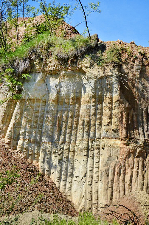 V Čakanovciach vás poteší výhľad na skameneliny z čias, keď tu bolo ešte more.