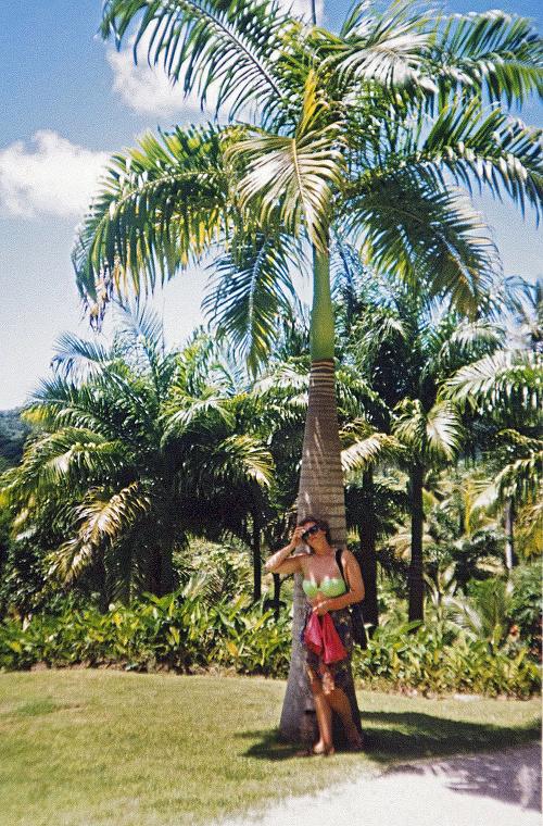 Barbados, 1991