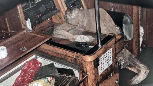 V kajute jachty našlo mumifikované telo. 