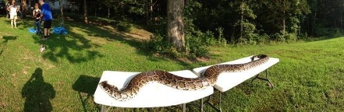 Had meral viac ako 4 metre.