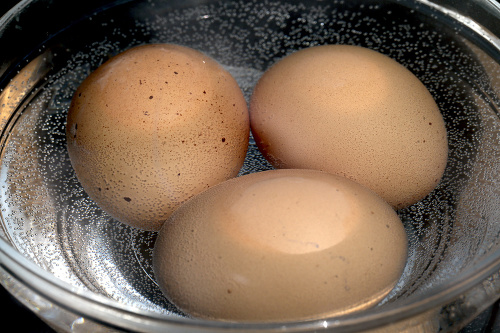 Vajcia na tvrdo: Keďže sa nám nepodarilo dosiahnuť bod varu, s vajcami naloženými vo vode s teplotou okolo 45 stupňov sa nám tepelná úprava nepodarila. 