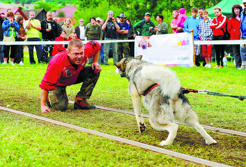 Sučka Jazda ťahá na vozíku rekordnú záťaž - 2 405 kg. Pred cieľom ju motivuje psovod Karol Stanislawski z Poľska.