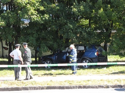 Auto zastavil až  náraz do  stromov.