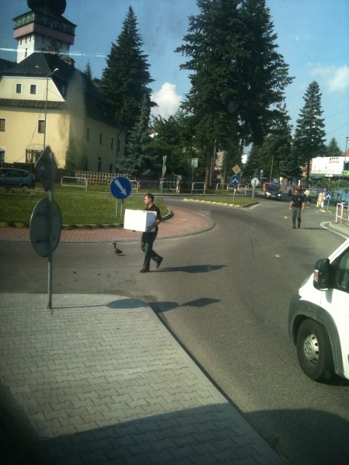 Takto zvečnil čitateľ Nového Času policajnú hliadku. Kým malé káčatká už boli v bezpečí škatule, muž zákona ešte ratoval kačku matku.