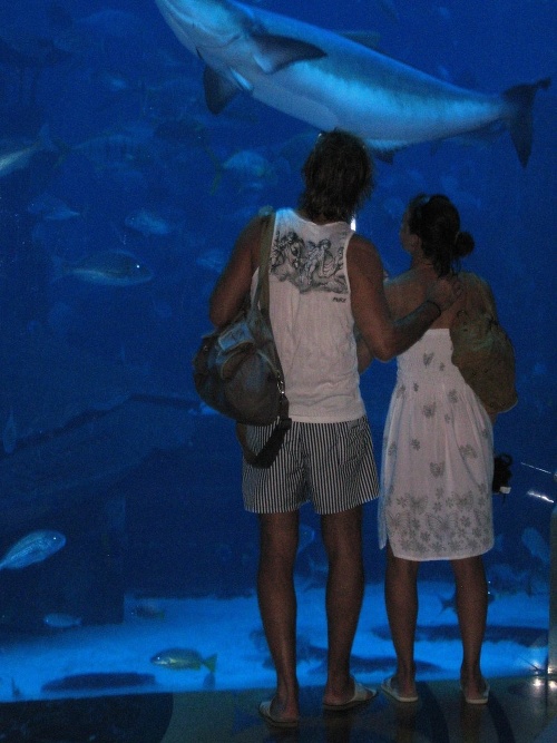 Choreograf Jano Ďurovčík si so svojou láskou Nelou Pociskovou nenechali ujsť dubajské akvárium.
