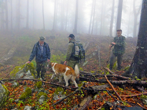 Berta sa zúčastnila aj hľadania nezvestného filmára Karola Kubicu, ktorému už, žiaľ nebolo pomoci.