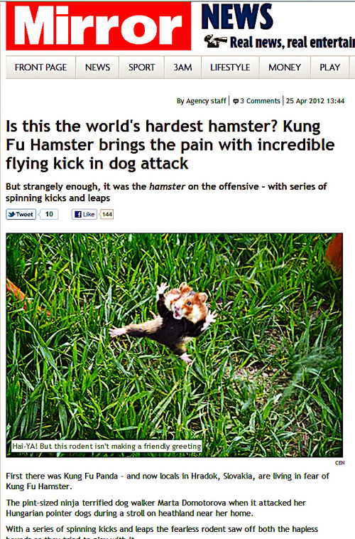 Kung-fu Škrečok je hviezdou britských médií.