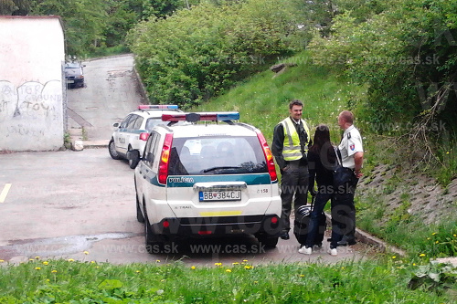 Policajti s brunetkou v družnej debate.