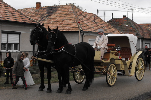 Manželia Bauerovci, ktorí s koňmi chodia po celom Slovensku sa s poplatkami za vstup do mesta ešte nestretli.