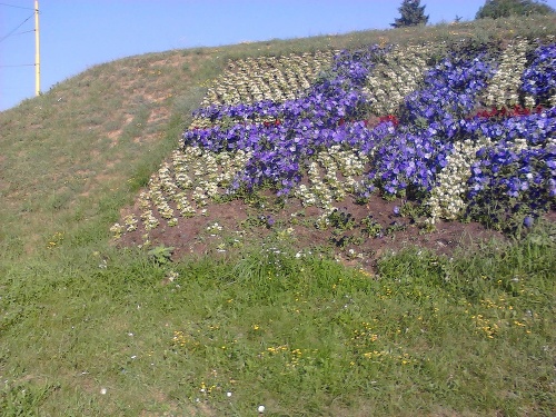 Vandal povytŕhal kvety zo záhonu, ktoré je v tvare loga HC Košice.