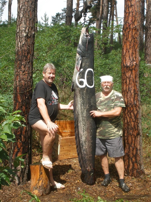 Štefan Tomek (vľavo) si chytil megasumca na 60. narodeniny.