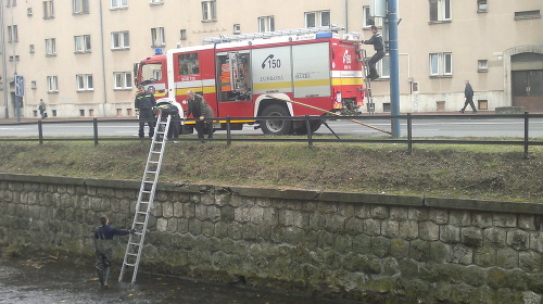 Hasičov k mčiatku zavolala obyvateľka neďalekého bytového domu.