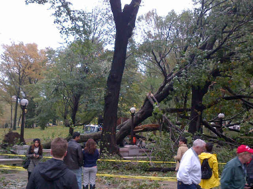 Aj slávny Central Park sa superbúrke neubránil.