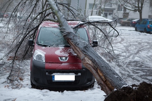 Strom padol aj na auto v Dúbravke.