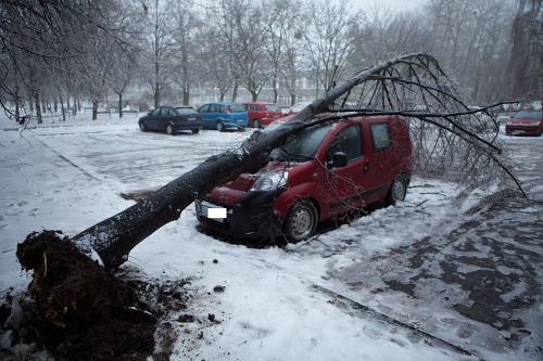 Strom padol aj na auto v Dúbravke.