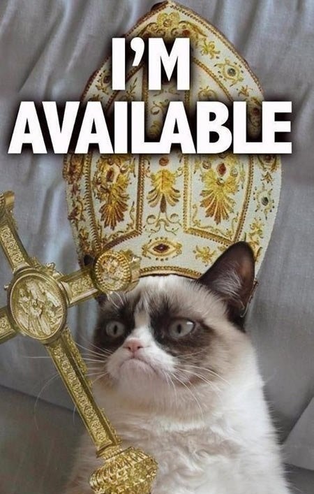 Som k dispozícii - naštvaná mačka má smolu, za pápeža ju nezvolili.