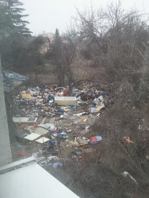 Obyvateľom bytového domu situácia v ich bezprostrednom susedstve prekážala už dlhšiu dobu.