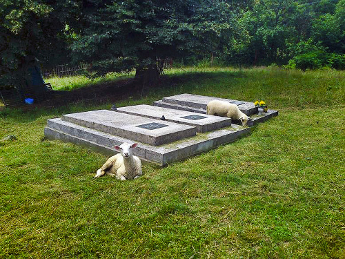 Ovečky sa pasú pri hroboch, niektorých domácim sa to nepozdáva.