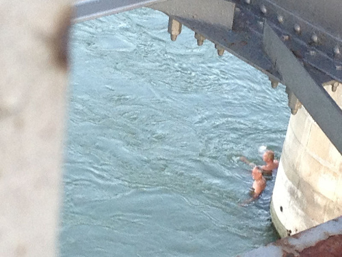 Odvážni plavci si oddýchli pri piliéri Starého mosta.