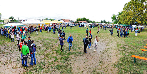 Stredoškoláci predviedli na festivale Mosty bez bariér svoj talent na rôznorodé činnosti.