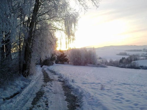 Z takejto zimnej idylky sa tešili minulý rok na Horehroní.