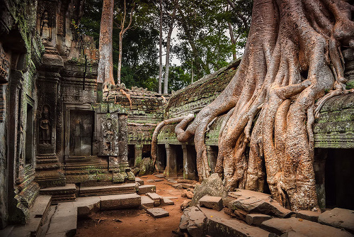 Angkor, Kambodža.
