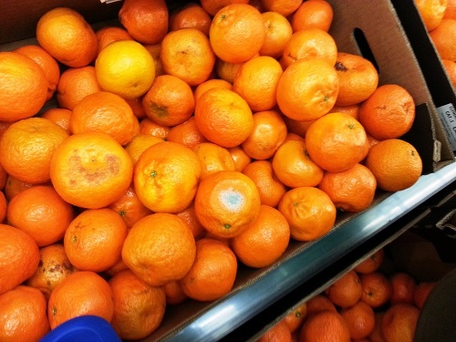 To už ani prasatá nebudú jesť, napísal rozčúlený čitateľ k fotke plesnivej mandarinky.
