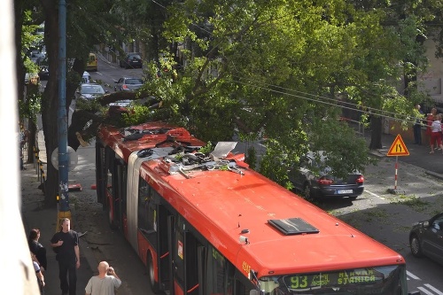 Padnutý strom spôsobil meškania autobusov v Bratislave.