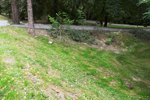 Zajo pozoroval dvojicu učupený v tráve.