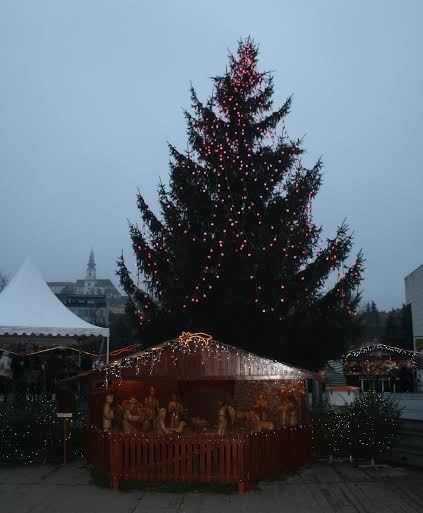 Nitru zdobí smrek obyčajný.