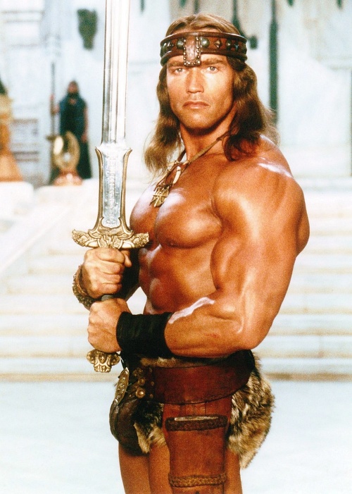 Po boku Polnišovej a Šebovej by sa mohol objaviť práve Schwarzenegger.