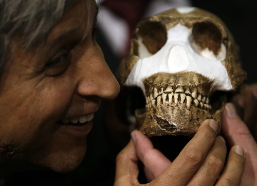 Professor Adam Habib drží zrekonštruovanú lebku človeka Homo naledi.