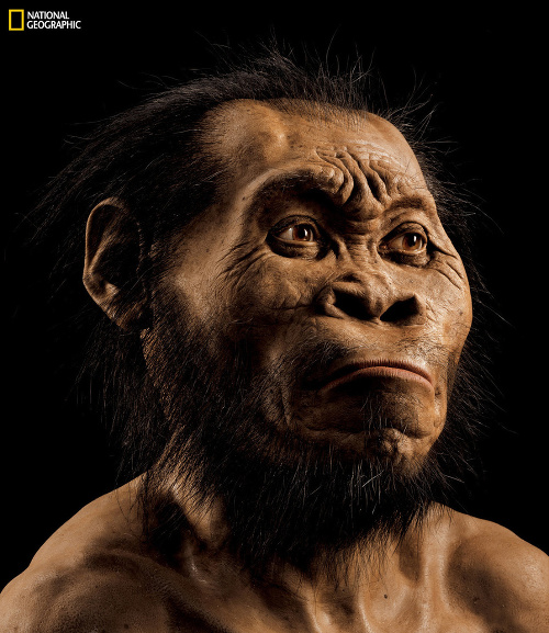 Rekonštrukcia tváre druhu Homo naledi, ktorú zverejnil časopis National Geographic.