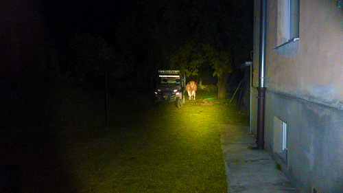 Na služobnom aute odrazila spätné zrkadlo.