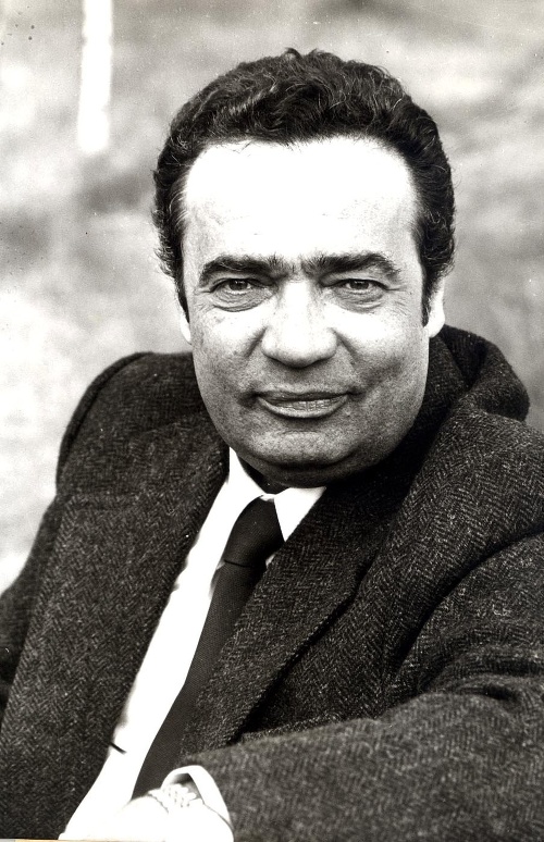 Vladimír Menšík