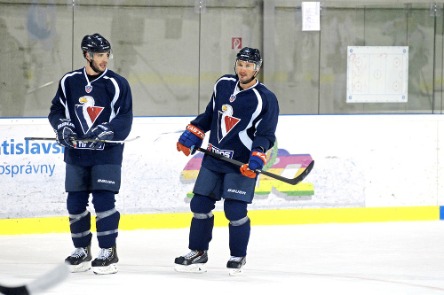 Fanúšikovia Slovana by Ľubomíra Višňovského opäť radi videli v KHL.
