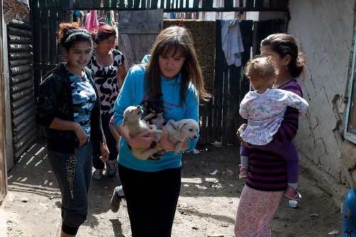 Dobrovoľníčka nesie šteňatá počas odberu psov v rómskej osade v Spišskom Štiavniku. 