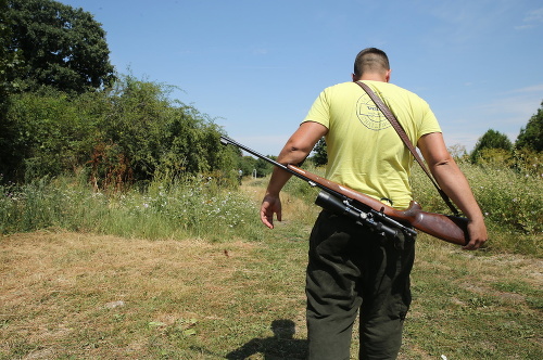 Policajti, poľovníci a ďalší ľudia sa snažia zviera nájsť.