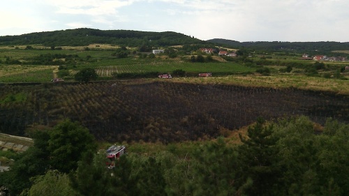 Takto vyzerali vinohrady po zahasení požiaru.
