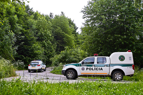 Po nezvestnom študentovi pátrali policajti z Brezna.