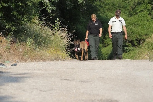 V blízkosti miesta nálezu hlavy pátrali policajti aj so špeciálne vycvičeným psom. 