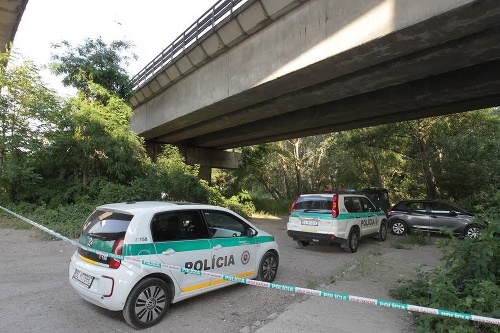 Po náleze hlavy prišlo na miesto nálezu viacero policajných áut.   