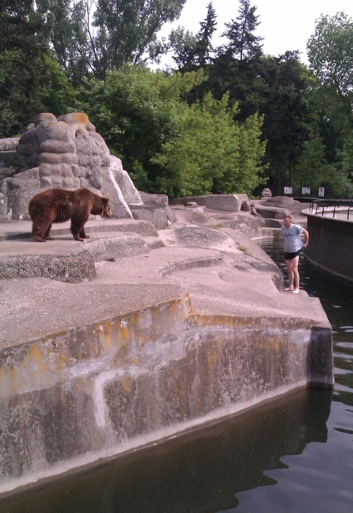 Chlapík sa vybral k medvedici bez nohavíc.
