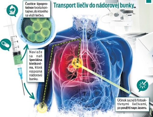 Transport liečiv do nádorovej bunky.