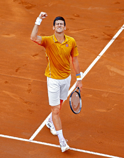 Nole by všetky tohtoročné triumfy vymenil za víťazstvo z Roland Garros.