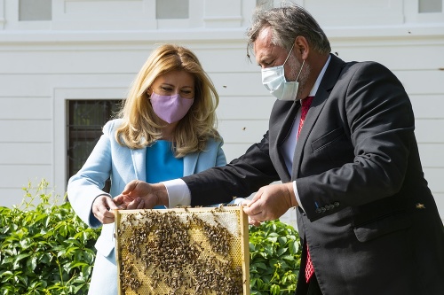V záhrade za Prezidentským palácom sú od 27.5. osadené včelie úle.