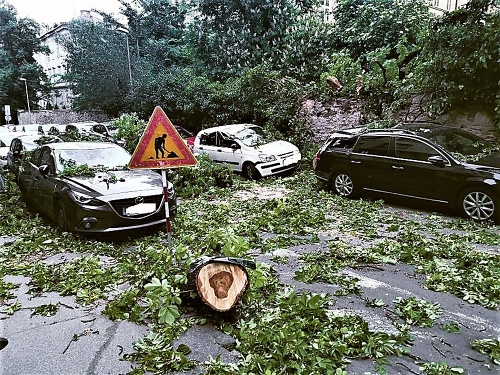 Zochova ulica - Statný strom poškodil autá.
