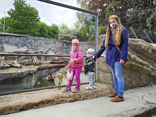 Vivien (33) potešila Elišku (4) a Filipka (2) výletom do zoo