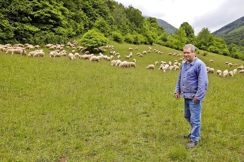 Bača Štefan (58) sa stará o ovečky dva týždne. 